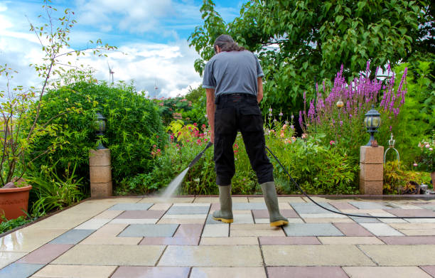 Best Parking Lot Cleaning in Riverside, IA